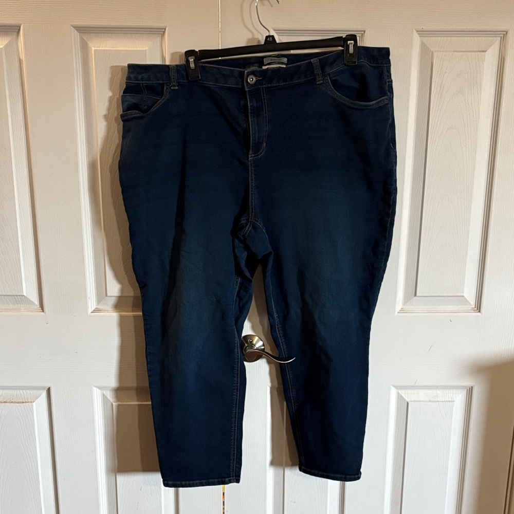 Catherines Blue Jeggings